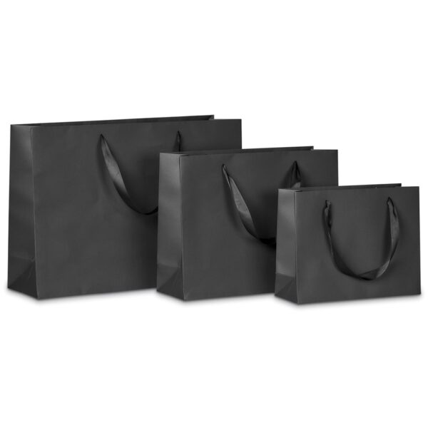 Altitude Ritz Mini Paper Gift Bag Gift bags GIFTBAG