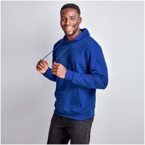 Mens Omega Hooded Sweater Hoodies