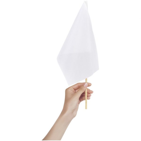 Champion Small Hand Flag 300mm x 200mm Outdoor products