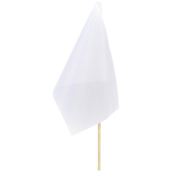 Champion Small Hand Flag 300mm x 200mm Outdoor products