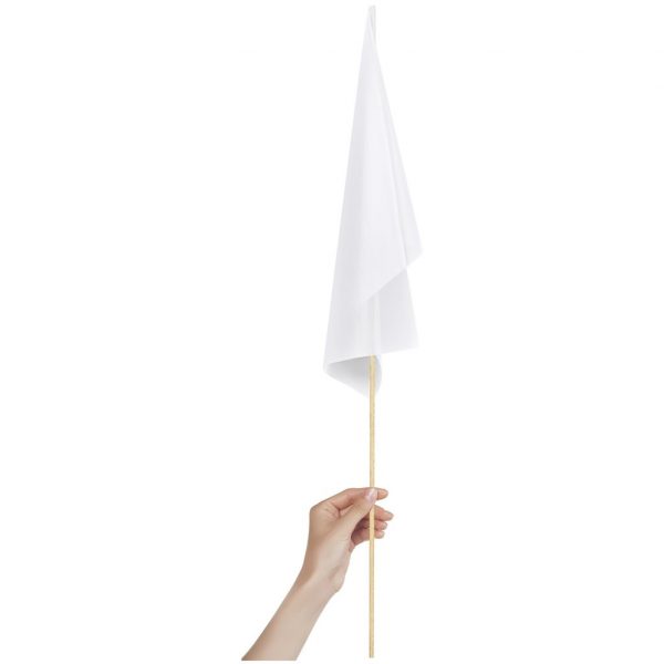 Champion Medium Hand Flag 450mm x 300mm Outdoor products