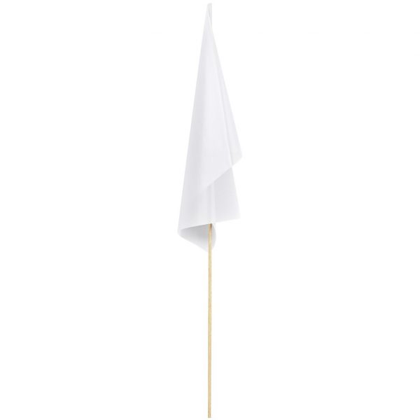 Champion Medium Hand Flag 450mm x 300mm Outdoor products