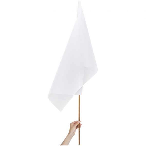 Champion Large Hand Flag 900mm x 600mm Outdoor products