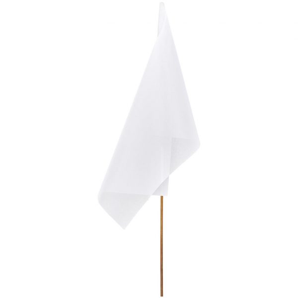 Champion Large Hand Flag 900mm x 600mm Outdoor products